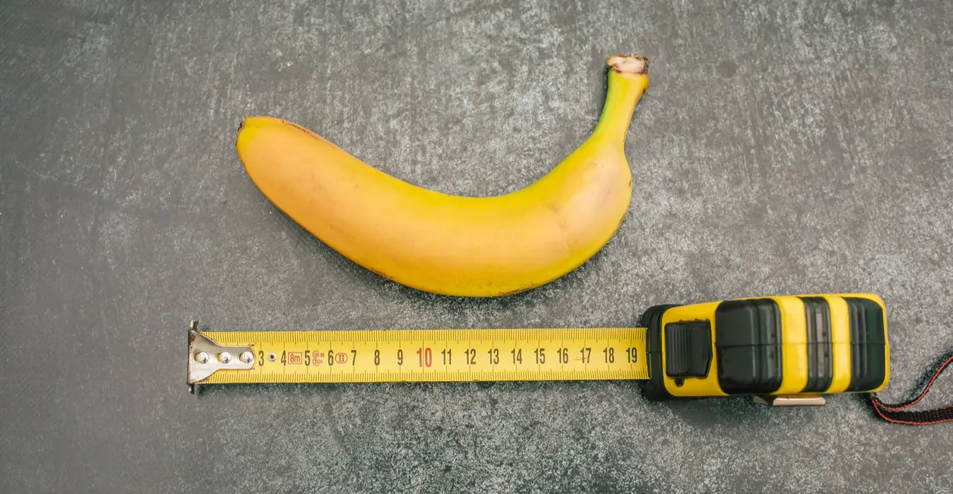 Is a 6 Inch Dick Above Average? The Science of Penile Statistics and Performance