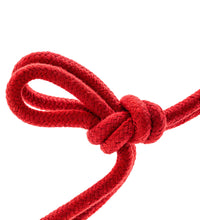 Blush Temptasia Bondage Red Rope 32 Feet