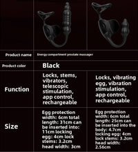 Venusfun 2 in 1 Thrusting Prostate Massager Butt Plug Penis Ring with App Control