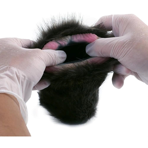 GEEBA Cat Male Masturbator with Soft Silicone Animal Pussy and Plush Fur Realistic Vagina Cup for Men