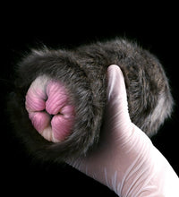 GEEBA Cat Male Masturbator with Soft Silicone Animal Pussy and Plush Fur Realistic Vagina Cup for Men