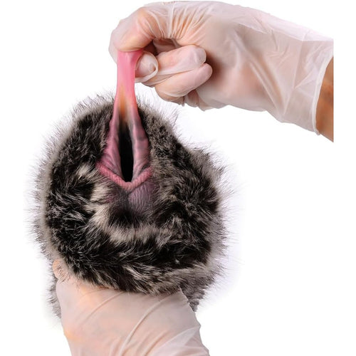 GEEBA Fantasy Masturbator Dog Inspired Animal Pussy Monster Toy For Solo