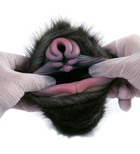 GEEBA Rhino Inspired Animal Pussy Fantasy Masturbator Pocket Pussy